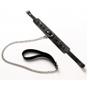 Черный ошейник с шипами и поводком - Crazy Handmade - купить с доставкой в Ногинске