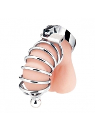 Серебристая клетка для члена Urethral Play Cage - BlueLine - купить с доставкой в Ногинске