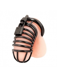 Черная металлическая клетка с замком Deluxe Chastity Cage - BlueLine - купить с доставкой в Ногинске