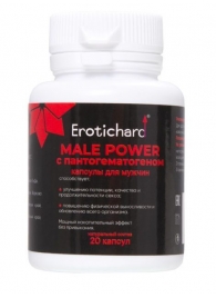Капсулы для мужчин Erotichard male power с пантогематогеном - 20 капсул (0,370 гр.) - Erotic Hard - купить с доставкой в Ногинске