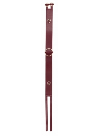 Бордовый ремень Halo Waist Belt - размер L-XL - Shots Media BV - купить с доставкой в Ногинске