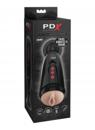 Мастурбатор-вагина с вибрацией Dirty Talk Starter Stroker - Pipedream - в Ногинске купить с доставкой