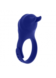 Синее эрекционное виброкольцо с клиторальной подушечкой и пультом ДУ Adjustable Fun Ring - Zero Tolerance - в Ногинске купить с доставкой