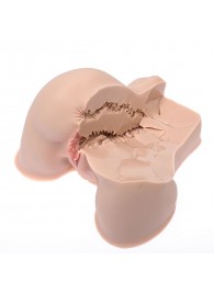 Мастурбатор-полуторс Naked Factory Kate - Naked Factory - в Ногинске купить с доставкой