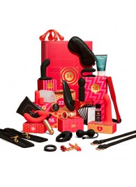 Адвент-календарь Lovehoney Couple’s Advent Calendar 2025 - We-vibe - купить с доставкой в Ногинске