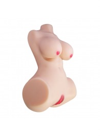 Мастурбатор-торс Aveline с 2 любовными тоннелями - Baile - в Ногинске купить с доставкой