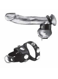 Утяжка для мошонки и пениса Cock Ring With 1  Ball Stretcher And Optional Weight Ring - BlueLine - купить с доставкой в Ногинске