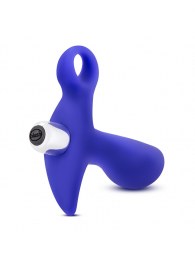 Синий стимулятор простаты с ручкой-кольцом Performance Prostimulator 02 - Blush Novelties - в Ногинске купить с доставкой