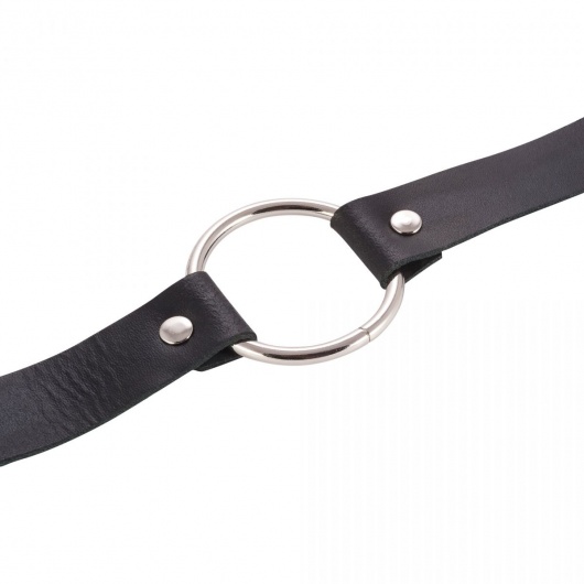 Черный поводок и чокер с кольцом Rada - Rebelts - купить с доставкой в Ногинске