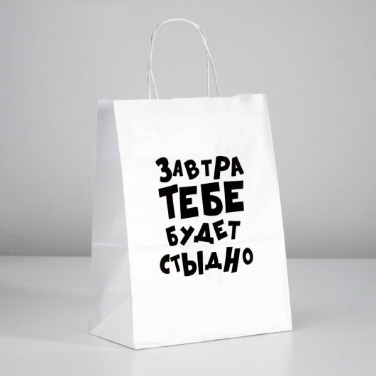 Подарочный пакет  Завтра тебе будет стыдно  - 30 х 24 см. - UPAK LAND - купить с доставкой в Ногинске