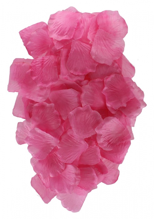 Эротический набор FANTASTIC PURPLE SEX TOY KIT - Toy Joy - купить с доставкой в Ногинске