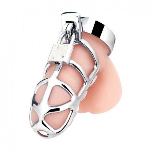 Серебристая металлическая клетка для члена с замком Enslave Cock Cage - BlueLine - купить с доставкой в Ногинске