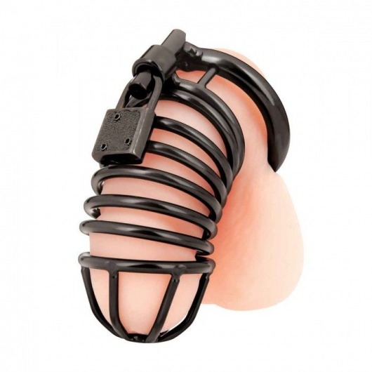 Черная металлическая клетка с замком Deluxe Chastity Cage - BlueLine - купить с доставкой в Ногинске