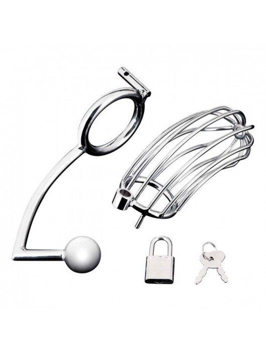 Серебристая металлическая клетка с анальным стимулятором Cock Cage - BlueLine - купить с доставкой в Ногинске