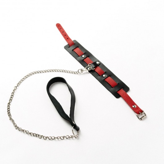 Черный ошейник с красным ремешком и поводком - Crazy Handmade - купить с доставкой в Ногинске