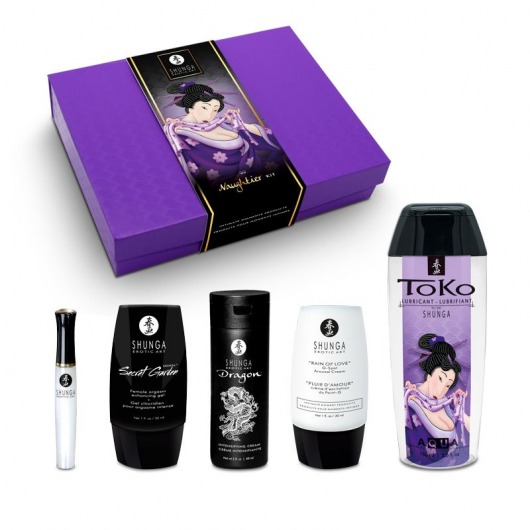 Подарочный набор Naughter Kit - Shunga - купить с доставкой в Ногинске