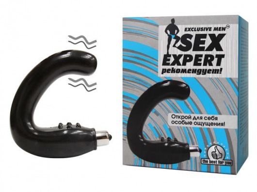 Чёрный массажёр простаты серии Sex Expert - Sex Expert - в Ногинске купить с доставкой