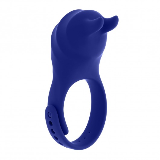 Синее эрекционное виброкольцо с клиторальной подушечкой и пультом ДУ Adjustable Fun Ring - Zero Tolerance - в Ногинске купить с доставкой