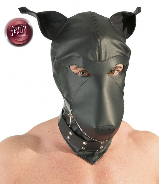 Шлем-маска Dog Mask в виде морды собаки - Orion - купить с доставкой в Ногинске