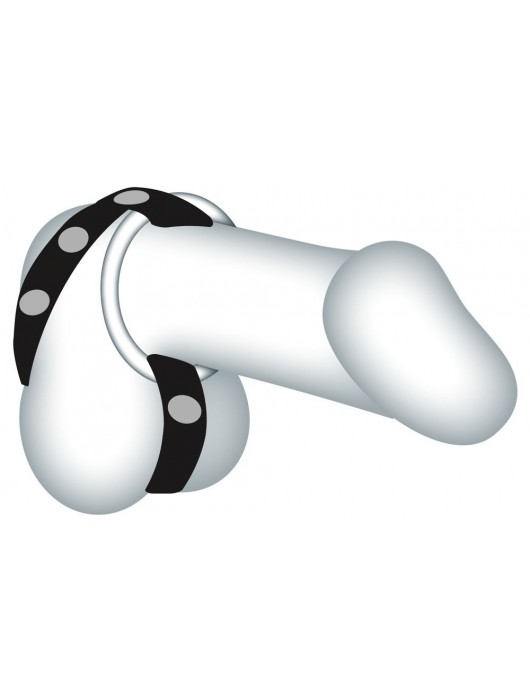 Подхват для мошонки с 3 съемными эрекционными кольцами Leder-Riemen - Orion - в Ногинске купить с доставкой