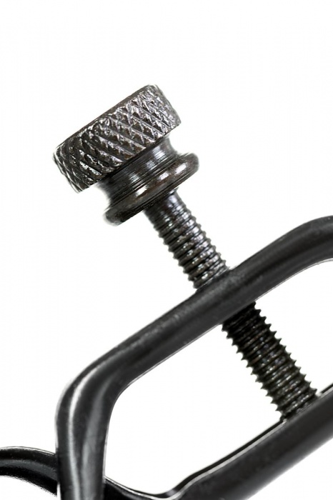 Черно-золотистые зажимы для сосков TOYFA Theatre - ToyFa - купить с доставкой в Ногинске